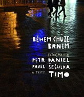 Během chůze Brnem  - Kniha