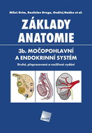 Základy anatomie 3b.: Močopohlavní a endokrinní systém - Kniha
