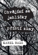 Chvějící se jehličky příští zimy - Kniha