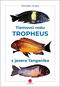 Tlamovci rodu Tropheus z jezera Tanganika  - Kniha