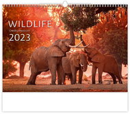 Wildlife 2023 - nástěnný kalendář - Nástěnný kalendář