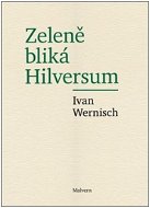 Zeleně bliká Hilversum - Kniha