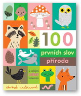 100 prvních slov příroda   - Kniha