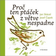 Proč ten ptáček z větve nespadne - Kniha