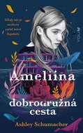 Ameliina dobrodružná cesta - Kniha