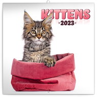 Poznámkový kalendář Koťata 2023 - nástěnný kalendář - Nástěnný kalendář