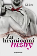 Za hranicami túžby - Kniha