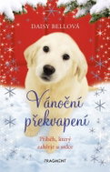 Vánoční překvapení: Příběh, který zahřeje u srdce - Kniha