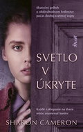 Svetlo v úkryte: Každé zaklopanie na dvere môže znamenať koniec - Kniha
