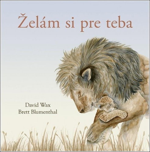 Želám si pre teba - Kniha - Main image
