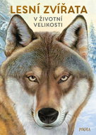 Lesní zvířata v životní velikosti - Kniha