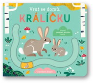 Vrať se domů, králíčku - Kniha