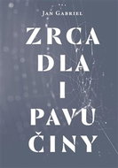 Zrcadla a pavučiny - Kniha