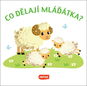Co dělají mláďátka? - Kniha