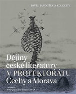 Dějiny české literatury v protektorátu Čechy a Morava - Kniha