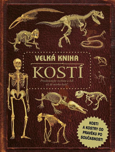 Velká kniha kostí - Kniha - Hlavní obrázek