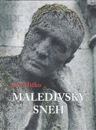 Maledivský sneh - Kniha