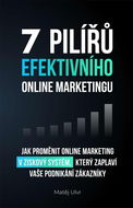 7 pilířů efektivního online marketingu: Jak proměnit online marketing v ziskový systém, který zaplav - Kniha