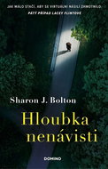 Hloubka nenávisti - Kniha