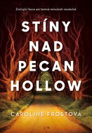 Stíny nad Pecan Hollow: Špatné lásce ani špatné minulosti se nedá utéct... - Kniha