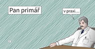 Pan Primář v praxi ... - Kniha