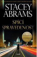 Spící spravedlnost - Kniha