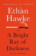 A Bright Ray of Darkness: A Novel - Kniha