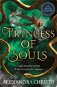 Princess of Souls - Kniha