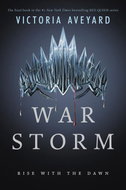 War Storm - Kniha