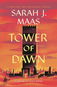 Tower of Dawn: Throne of Glass - Kniha