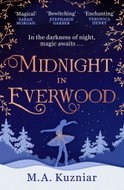 Midnight in Everwood - Kniha