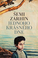 Jednoho krásného dne - Kniha