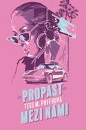 Propast mezi námi - Kniha