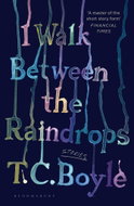 I Walk Between the Raindrops - Kniha