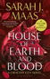 House of Earth and Blood: Crescent City - Kniha