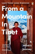 From a Mountain In Tibet: A Monk's Journey - Kniha