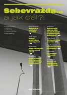 Sebevražda... a jak dál?! - Kniha