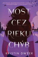 Most cez rieku chýb - Kniha