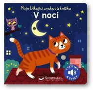 V noci - Kniha