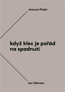 Když klec je pořád na spadnutí - Kniha