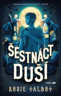 Šestnáct duší - Kniha
