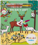 Malování vodou Kdo žije v lese? - Omalovánky