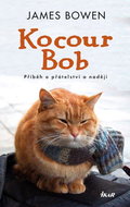 Kocour Bob: Příběh o přátelství a naději - Kniha