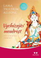 Vycházející moudrost: Cesta k projevení ženské síly - Kniha