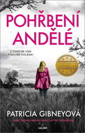 Pohřbení andělé - Kniha