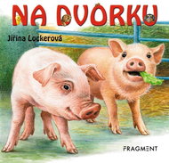 Na dvorku - Kniha