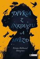 Dívka z inkoustu a hvězd - Kniha