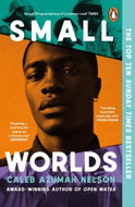 Small Worlds - Kniha