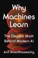 Why Machines Learn: The Elegant Math Behind Modern AI - Kniha