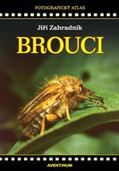 Brouci - Kniha
